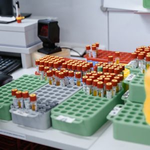 EZ-Accu Shot — Prueba de Promoción del Crecimiento